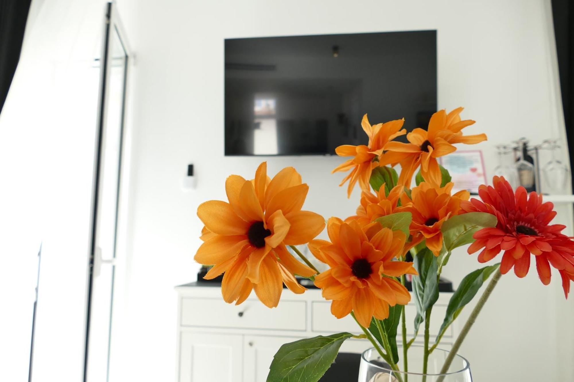 Bvholidayhouse Polignano a Mare Room photo