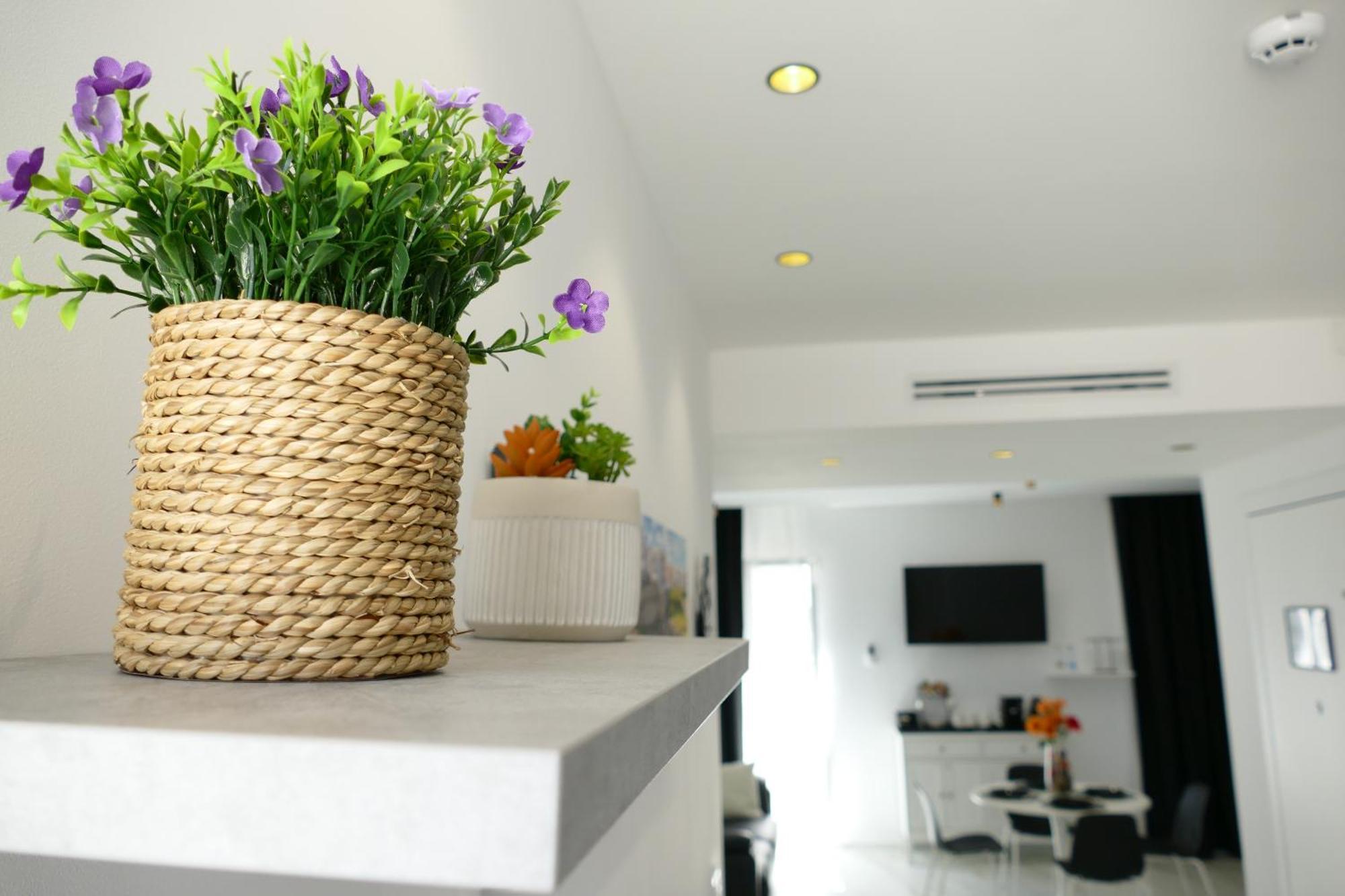 Bvholidayhouse Polignano a Mare Room photo